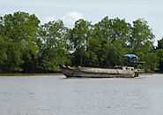 Mekong Eco Tours