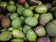 Is Avocado a Toxic fruit for horse? - Bella's Diet