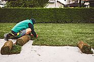 The Pros and Cons of Landscaping services in Toronto