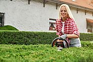 Get A Beautiful Lawn With Landscaping Services In Markham