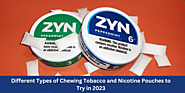 Different Types of Chewing Tobacco and Nicotine Pouches to Try in 2023