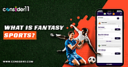 What is Fantasy Sports?