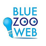 Introducing BlueZoo Web's Professional Services