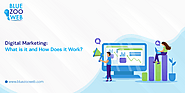 All You Need To Know About Digital Marketing