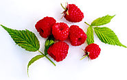 Use raspberry ketones | Reasons to use diet pills