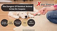 The Dangers Of Residual Animal Urine On Carpets | Vancouver