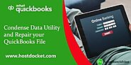 Website at https://www.hostdocket.com/quickbooks-condense-data-repair/