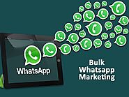 Bulk WhatsApp Service Provider