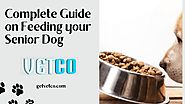 Complete Guide on Feeding your Senior Dog