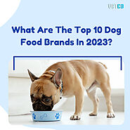 What Are The Top 10 Dog Food Brands In 2023? - Vetco Store