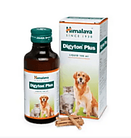 Himalaya Digestive Digyton Syrup for Dogs & Cats - Vetco