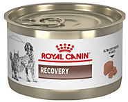 Royal Canin Recovery Wet Dog & Cat Food - Vetco