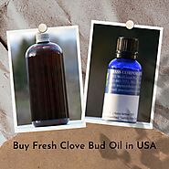 Buy Fresh Clove Bud Oil in USA