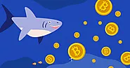 BTC Price Rally Been Undermined by the Bears? - Coinpedia Fintech News