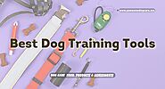 Top 8 Best Dog Training Tools for a Well-Behaved Pup - Pawsome Dog care