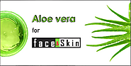 Aloe Vera for Face and Skin - NEWSPAPERHUNT