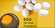 Does egg really help in hair growth? - NEWSPAPERHUNT
