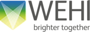 Miss Anna Quaglieri - Bioinformatics division | WEHI