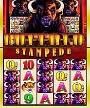 Buffalo Stampede Slot Machine • Play Online From The USA
