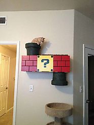 How to Build an Awesome Nintendo Inspired Cat Climber