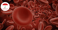 What is the red blood cell (RBC) count?