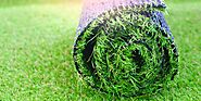 The Rise of Artificial Grass Melbourne: A Sustainable and Stylish Solution