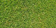 How Do Professionals Clean Artificial Grass?