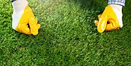 Artificial Grass Supply Stores Near Melbourne VIC