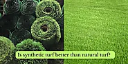 Is synthetic turf better than natural turf?  - Synthetic Grass Living