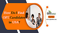 How do I find OPT candidates in USA? | OPT resumes | OPTnation