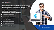 Why Do You Need the Best Flutter App Development Services in the USA?