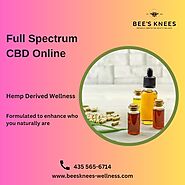 Buy Full Spectrum CBD Online | Hemp Wellness Store | BeesKnees