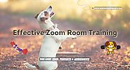 Top 5 Dog Training Products For Effective Zoom Room Training - Pawsome Dog care