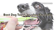 top dog toothbrush