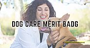 Dog Care Merit Badge: A Guide to Responsible Dog Ownership - Pawsome Dog care