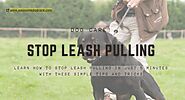 Stop Leash Pulling in 5 Minutes - Tips and Tricks for Training Your Dog - Pawsome Dog care