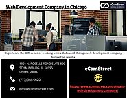 Best Web Development Company in Chicago