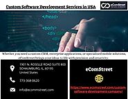 Custom Software Development Services in USA