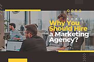 Why You Should Hire A Marketing Agency?