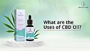 What Are The Uses of CBD Oil | Wholeleaf