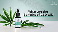 What are the Benefits of CBD Oil? A Comprehensive Guide – Wholeleaf