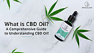 What is Cannabidiol (CBD) Oil? A Comprehensive Guide to Understanding CBD Oil