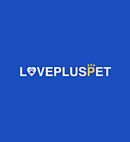 Dog Braces & Wheelchairs For Sale at LOVEPLUSPET