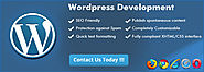 Wordpress Development Company in California