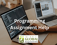 How to Outshine Your Peers by Writing Perfect Programming Assignments?