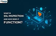 Website at https://cheapsslweb.com/blog/what-is-ssl-inspection