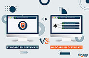 Wildcard SSL Vs Standard SSL Certificate