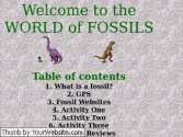 LEARNING ABOUT FOSSILS