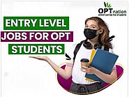 Entry Level Jobs For OPT Students