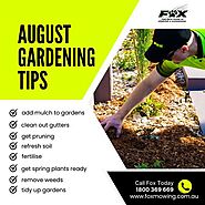 August Gardening Tips